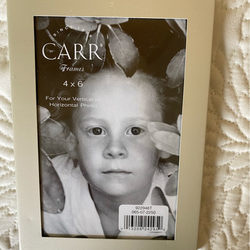 CARR Frames 4x6 Photo Frame